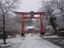 Winter in Kyoto * 600 x 450 * (66KB)